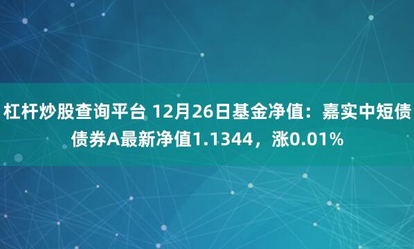 杠杆炒股查询平台 12月26日基金净值：嘉实中短债债券A最新净值1.1344，涨0.01%