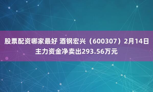 股票配资哪家最好 酒钢宏兴（600307）2月14日主力资金净卖出293.56万元