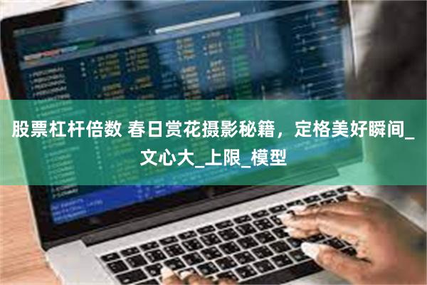 股票杠杆倍数 春日赏花摄影秘籍，定格美好瞬间_文心大_上限_模型