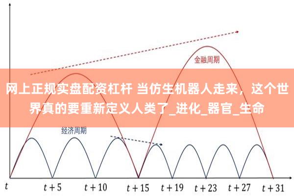 网上正规实盘配资杠杆 当仿生机器人走来，这个世界真的要重新定义人类了_进化_器官_生命