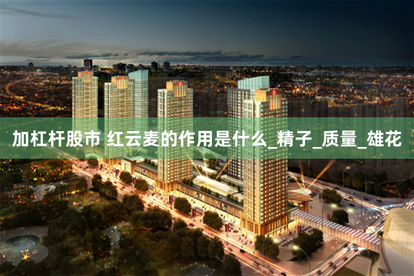 加杠杆股市 红云麦的作用是什么_精子_质量_雄花