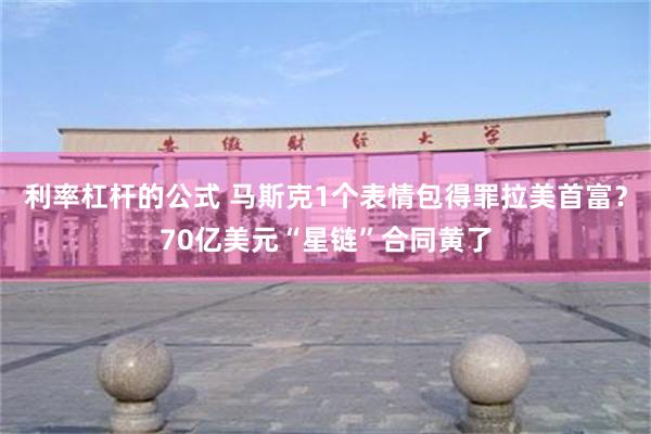 利率杠杆的公式 马斯克1个表情包得罪拉美首富？70亿美元“星链”合同黄了