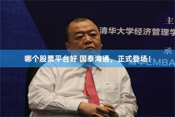 哪个股票平台好 国泰海通，正式登场！