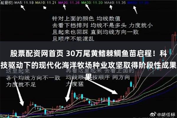 股票配资网首页 30万尾黄鳍棘鲷鱼苗启程！科技驱动下的现代化海洋牧场种业攻坚取得阶段性成果