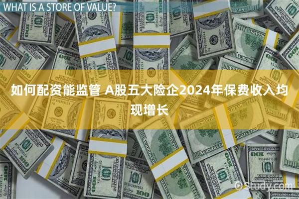 如何配资能监管 A股五大险企2024年保费收入均现增长
