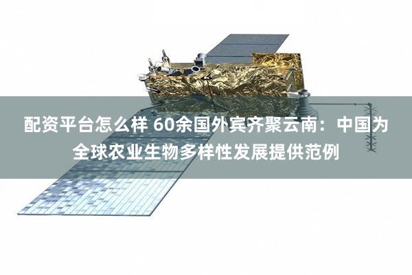 配资平台怎么样 60余国外宾齐聚云南：中国为全球农业生物多样性发展提供范例