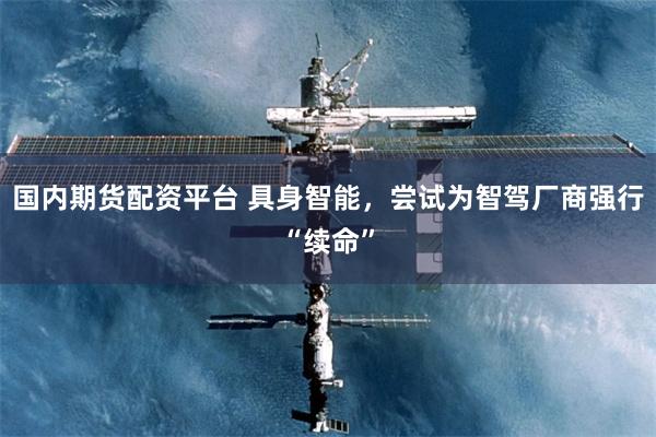 国内期货配资平台 具身智能，尝试为智驾厂商强行“续命”