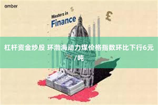 杠杆资金炒股 环渤海动力煤价格指数环比下行6元/吨