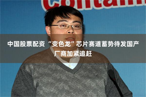 中国股票配资 “变色龙”芯片赛道蓄势待发国产厂商加紧追赶