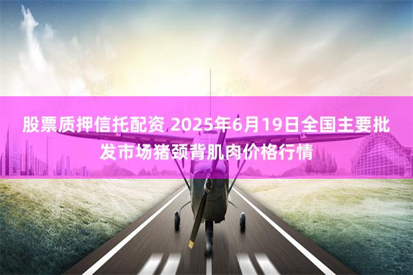 股票质押信托配资 2025年6月19日全国主要批发市场猪颈背肌肉价格行情