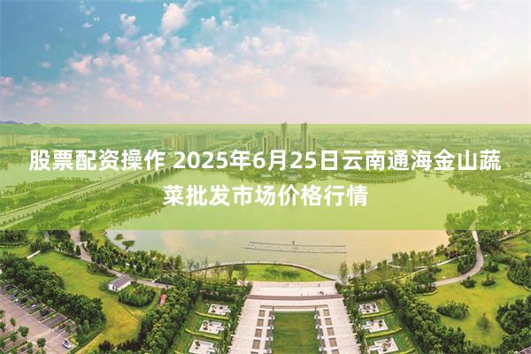 股票配资操作 2025年6月25日云南通海金山蔬菜批发市场价格行情
