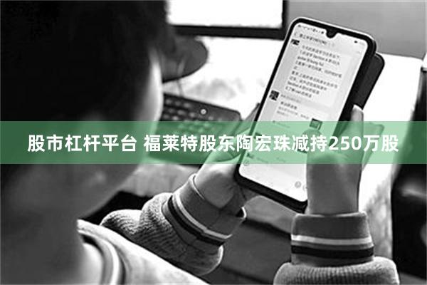 股市杠杆平台 福莱特股东陶宏珠减持250万股