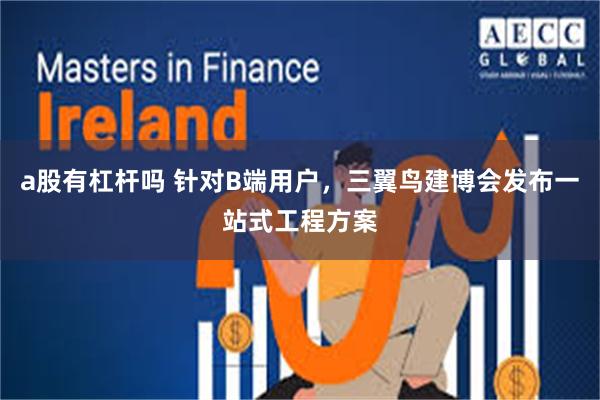 a股有杠杆吗 针对B端用户，三翼鸟建博会发布一站式工程方案
