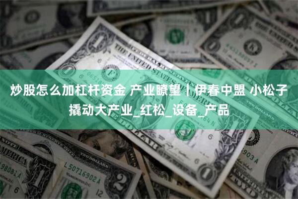 炒股怎么加杠杆资金 产业瞭望｜伊春中盟 小松子撬动大产业_红松_设备_产品