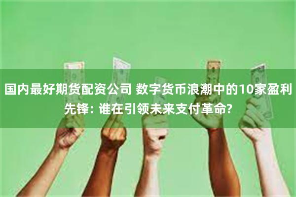 国内最好期货配资公司 数字货币浪潮中的10家盈利先锋: 谁在引领未来支付革命?