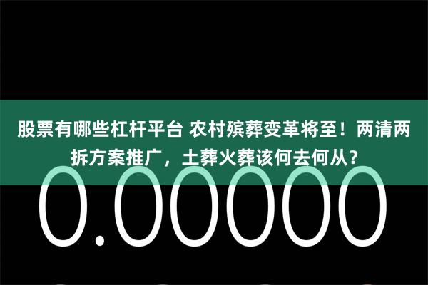 股票有哪些杠杆平台 农村殡葬变革将至！两清两拆方案推广，土葬火葬该何去何从？