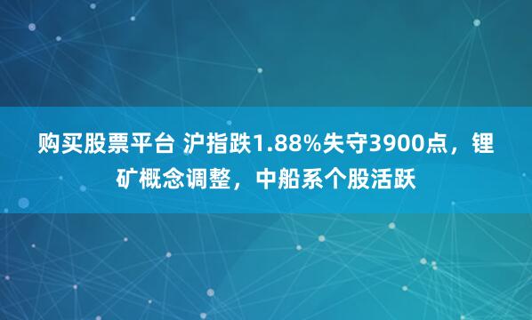 购买股票平台 沪指跌1.88%失守3900点，锂矿概念调整，中船系个股活跃
