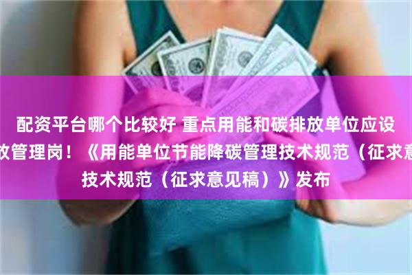 配资平台哪个比较好 重点用能和碳排放单位应设立能源和碳排放管理岗!《用能单位节能降碳管理技术规范(征求意见稿)》发布