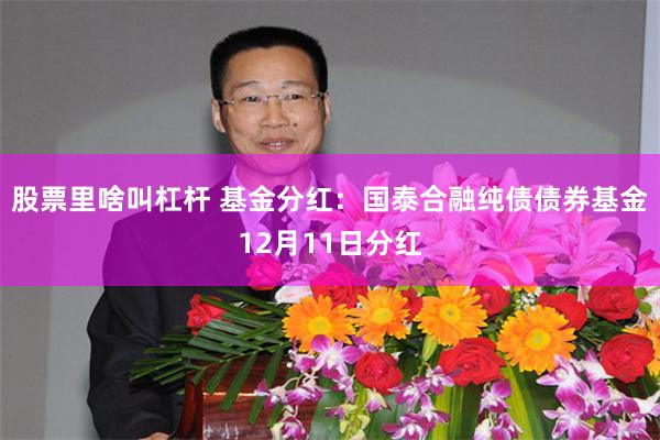 股票里啥叫杠杆 基金分红:国泰合融纯债债券基金12月11日分红